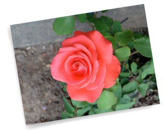 10 coisas para se fazer em Mainz na Alemanha