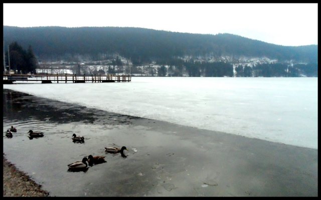 titisee