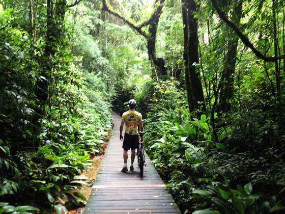 Pedalando em Curitiba