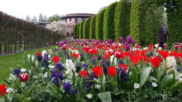 Keukenhof - Parque das Flores na Holanda Keukenhof - Parque das Flores na Holanda