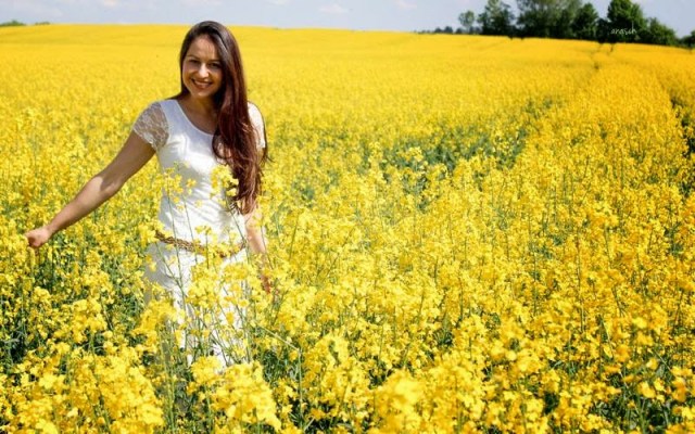Alemanha Plantação de Canola