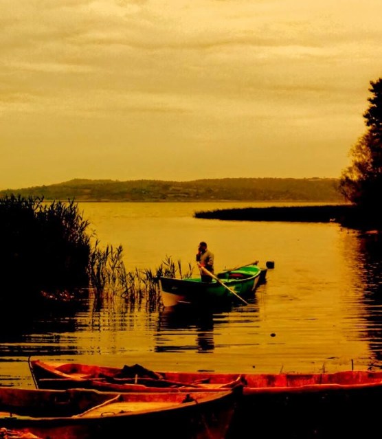 amarelo por Erkan Ölmez amarelo por Erkan Ölmez