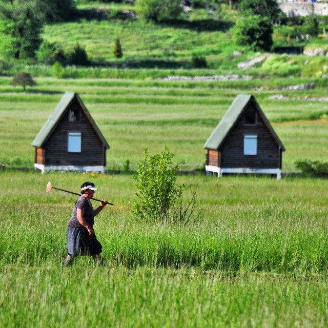 Parque Nacional Sutjeska, na Republika Srpska, Bósnia Parque Nacional Sutjeska, na Republika Srpska, Bósnia