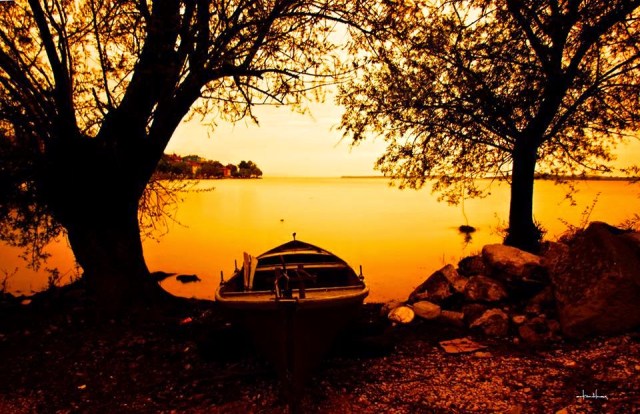 amarelo por Erkan Ölmez amarelo por Erkan Ölmez