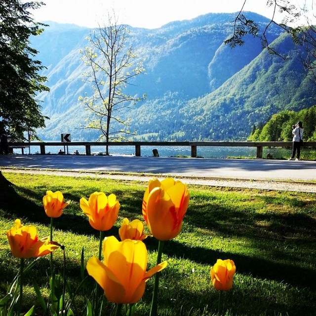 Amarelo na Eslovênia Amarelo na Eslovênia