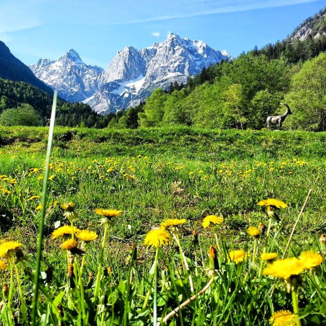 Kranjska Gora Kranjska Gora