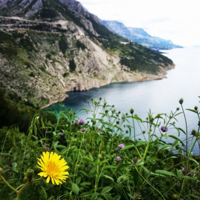 Pela costa da Dalmácia Pela costa da Dalmácia