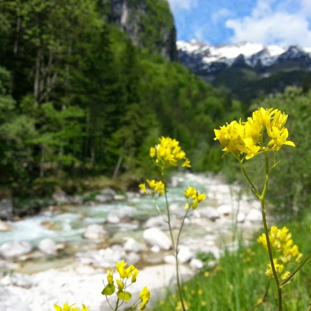 O Parque Nacional Triglav O Parque Nacional Triglav