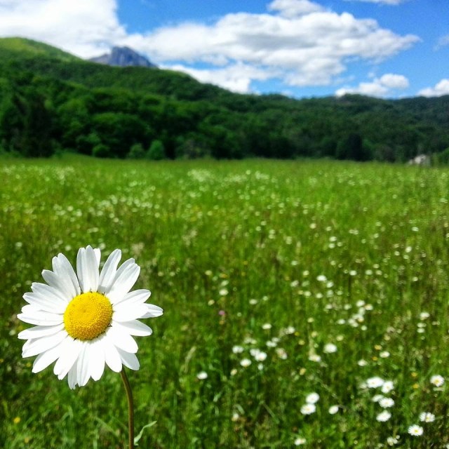 Sutjeska National Park, Bósnia Sutjeska National Park, Bósnia