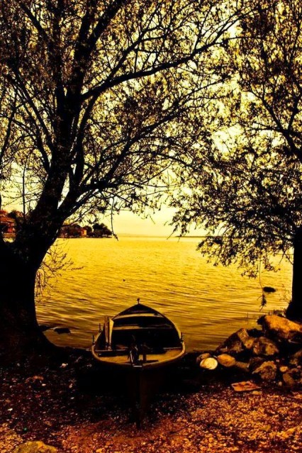 Brasileiros Mundo Afora - Erkan Ölmez Brasileiros Mundo Afora - Erkan Ölmez