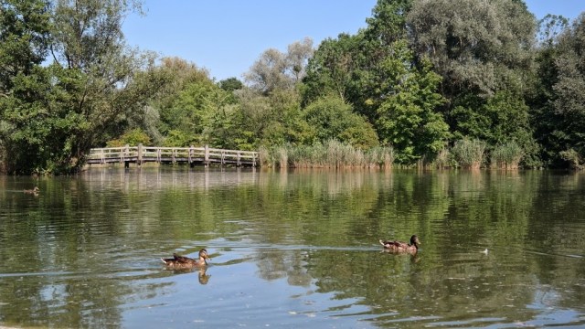 Lagos - Park im Grünen - Basel Suíça