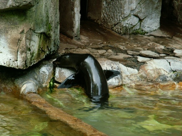 Zoológico - Zoo Basel Suíça