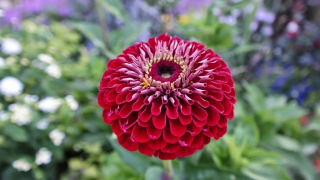 Parque Merian Gärten Basel Suíça