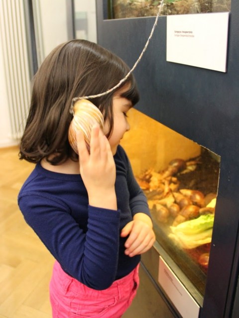  Museu de História Natural de Basel Suíça