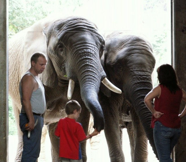 Zoológico - Zoo Basel Suíça