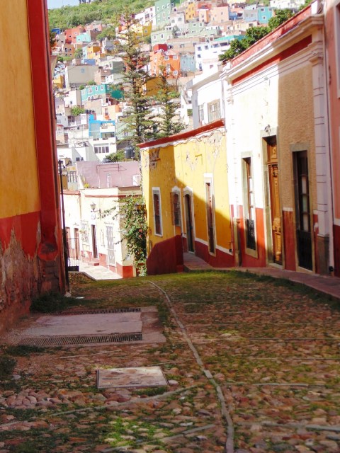 Brasileira no Mexico