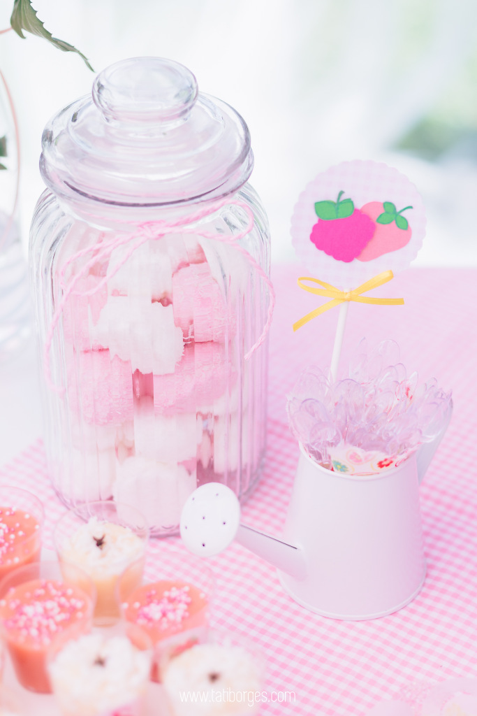 ANIVERSARIO-INFANTIL-ALEMANHA (4)