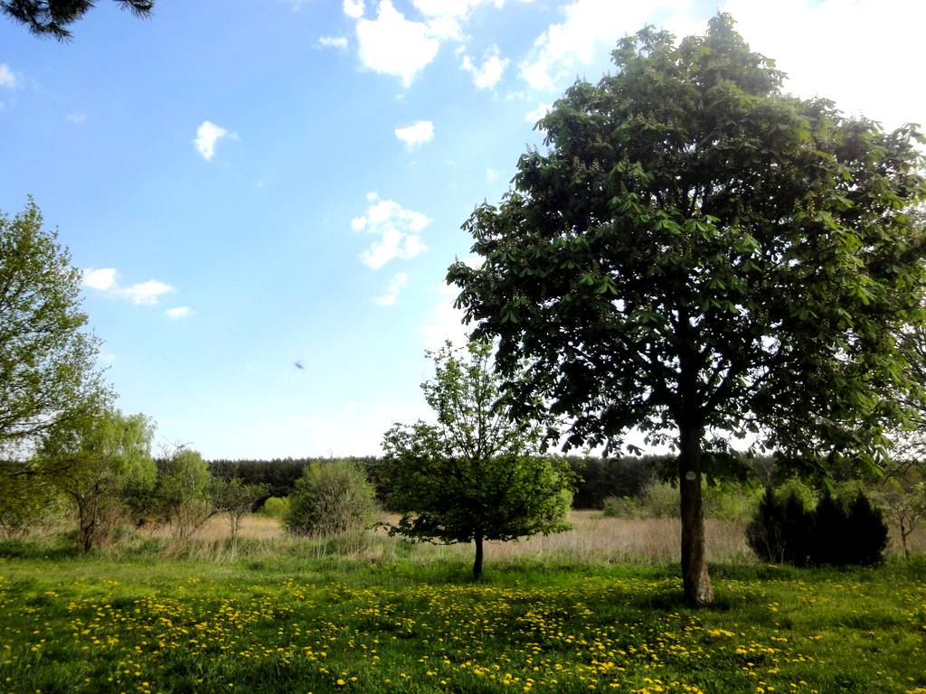 Hoje na frente de casa – 3. Maio 2012