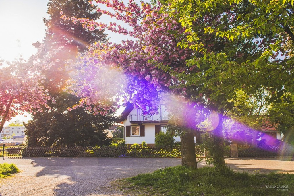 Primavera me remete a infância