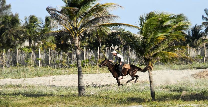 Eu vivo o meu sonho… | Aqui entre nós