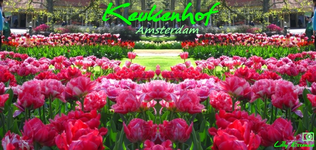 Parque das Flores na Holanda – Keukenhof