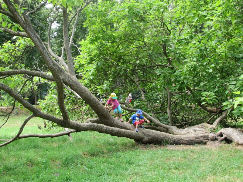 Nosso verão em Berlim – álbum de&nbsp;fotografia