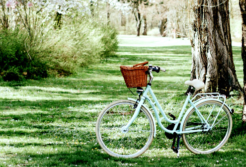 Pedalando com Cristina Rosa