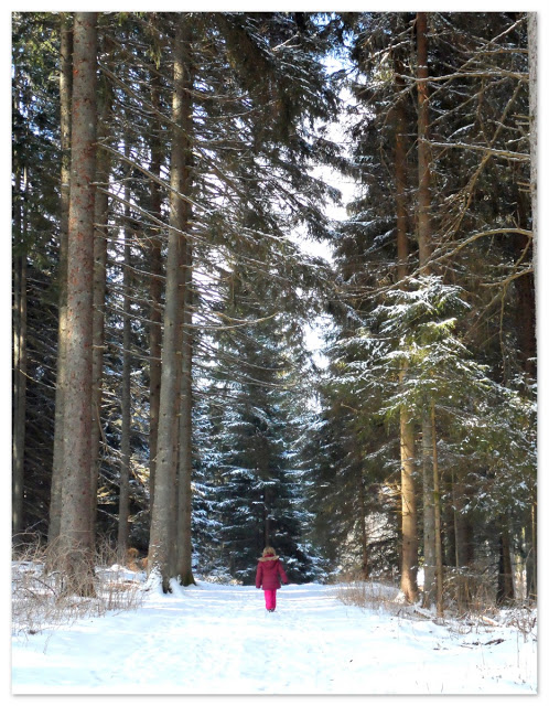 Brasileira na Alemanha3