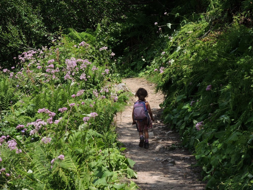 Trilhas, paixão nacional&nbsp;suíça.